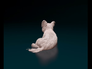Yorkshire terrier dog 3D Print Model