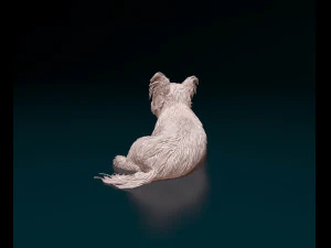Yorkshire terrier dog 3D Print Model