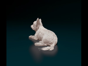 Yorkshire terrier dog 3D Print Model