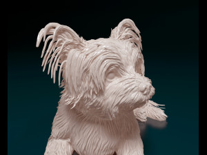 Yorkshire terrier dog 3D Print Model