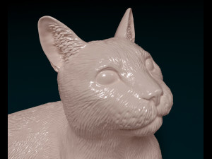 Cat lying down Model do druku 3D