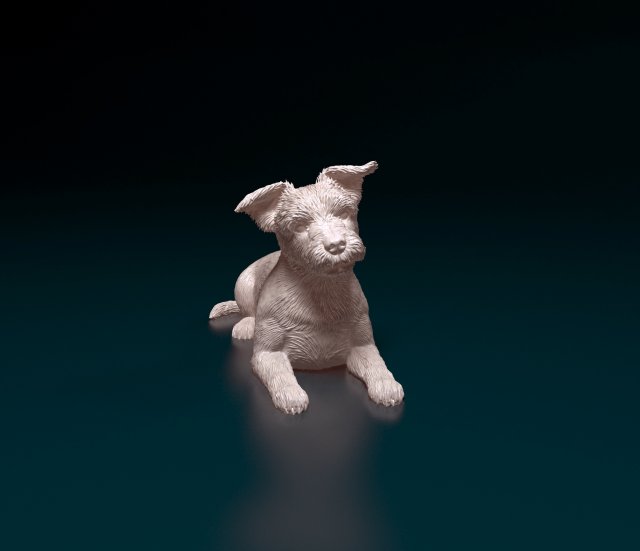 Yorkshire terrier dog 8 3D 打印模型 .c4d .max .obj .3ds .fbx .stl .blend