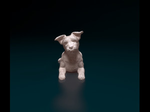 Yorkshire terrier dog 8 3D 打印模型