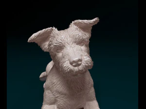 Yorkshire terrier dog 8 3D Print Model