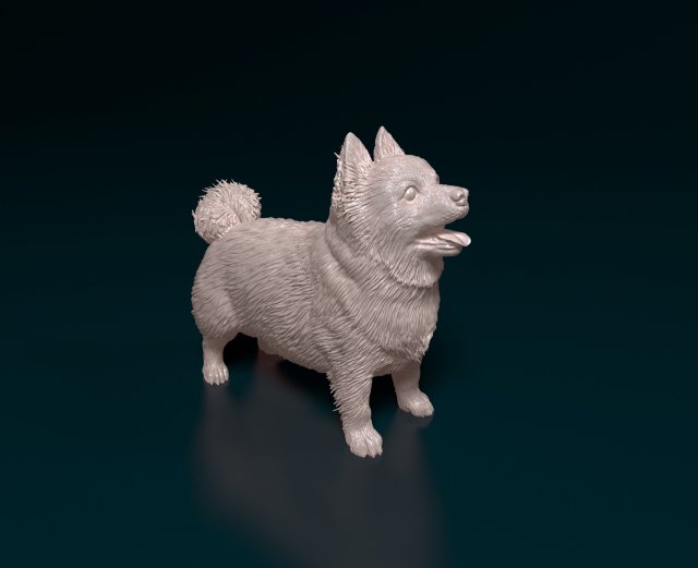 Pomeranian dog 3D printmodel .c4d .max .obj .3ds .fbx .stl .blend 