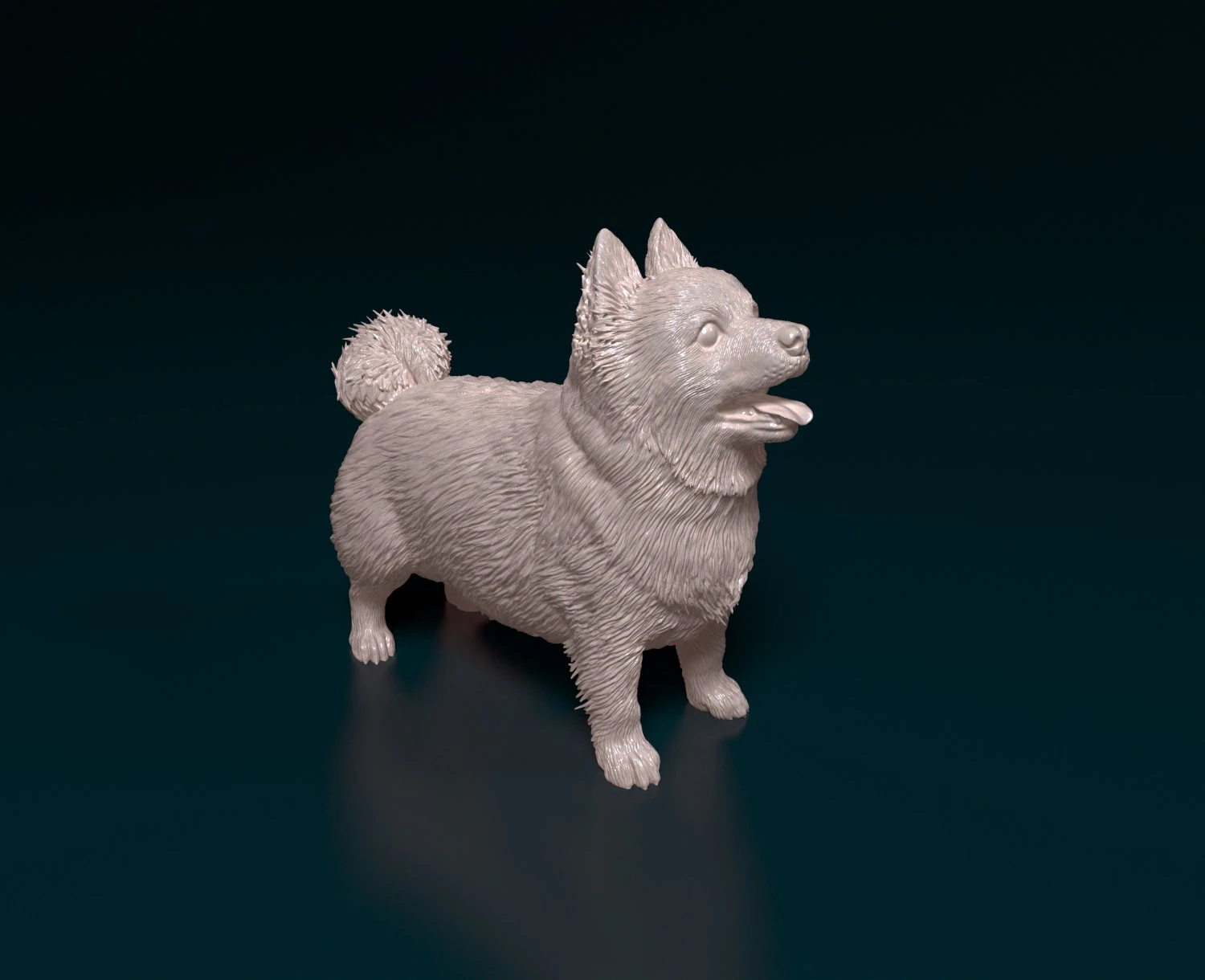 Pomeranian dog 3D Print Model .c4d .max .obj .3ds .fbx .stl .blend 