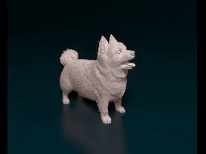Cane Pomerania Modello di stampa 3D