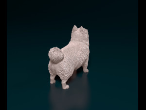 Pomeranian dog 3D printmodel