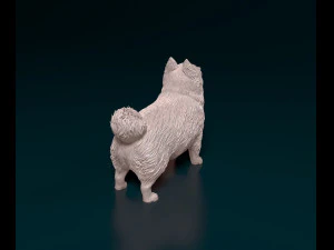 Pomeranian dog 3D Print Model