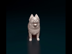 Pomeranian dog 3D printmodel