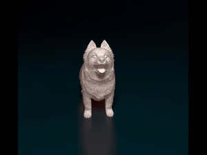 Pomeranian dog 3D Print Model