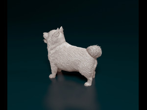 Pomeranian dog 3D printmodel