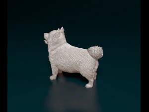Pomeranian dog 3D Print Model