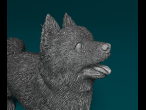 Pomeranian dog 3D printmodel