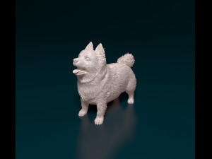 Pomeranian dog 3D printmodel
