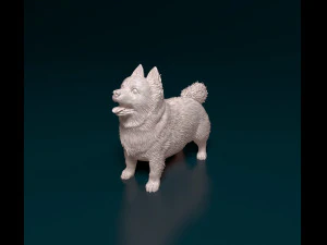 Pomeranian dog 3D Print Model