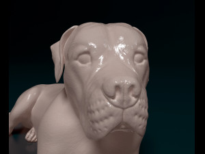 Scott American Bulldog 3D 打印模型