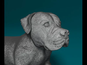 Scott American Bulldog 3D Print Model