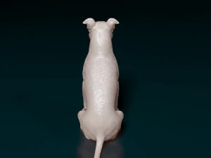 スタッフォードシャー・ブル・テリア 6 3Dプリントモデル