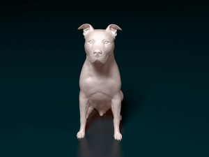 Staffordshire bull terrier 6 Modelo de Impressão 3D
