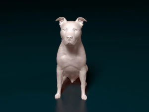 スタッフォードシャー・ブル・テリア 6 3Dプリントモデル