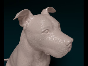 Staffordshire bull terrier 6 Modelo de Impressão 3D