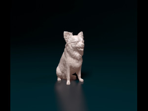 Chihuahua long haired 4 Modelo de impresión 3D
