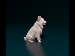 Chihuahua long haired 4 3D Принт Модель