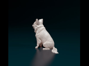 Chihuahua long haired 4 3D Принт Модель