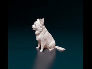 Chihuahua long haired 4 3D Принт Модель