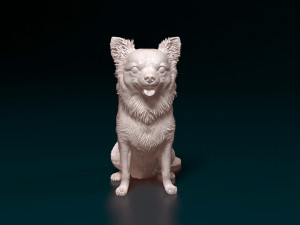 Chihuahua long haired 4 3D Принт Модель