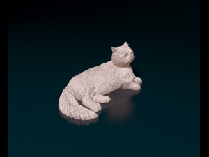 Persian Cat 3D Print Model