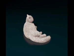 Persian Cat 3D Print Model