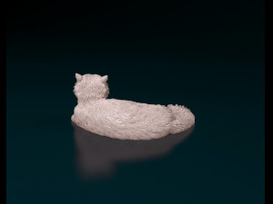 Persian Cat Modello di stampa 3D