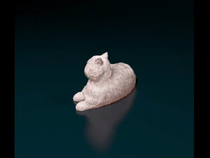 Persian Cat 3D Print Model