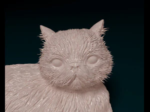 Persian Cat 3D Print Model