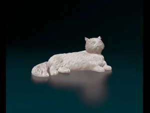 Persian Cat 3D Print Model