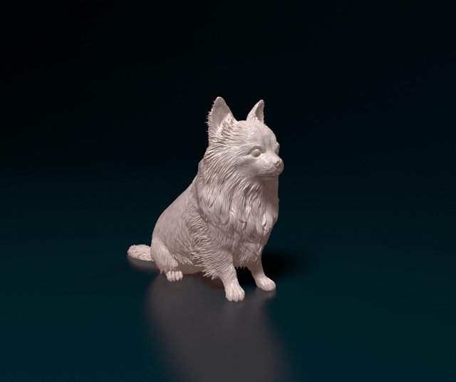 Long haired Chihuahua 05 Model Cetak 3D .c4d .max .obj .3ds .fbx .stl .blend 