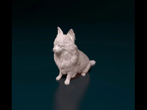 Long haired Chihuahua 05 3D Print Model