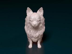 Long haired Chihuahua 05 Model Cetak 3D