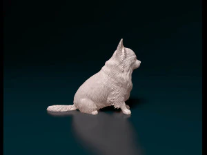 Long haired Chihuahua 05 3D Print Model