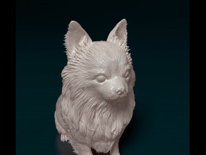 Long haired Chihuahua 05 Model Cetak 3D