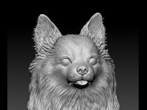 Long haired Chihuahua 05 Model Cetak 3D