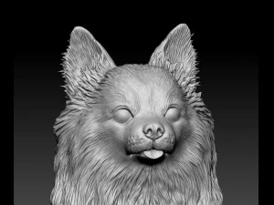 Long haired Chihuahua 05 3D Print Model