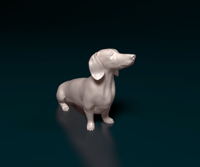 Dachshund 05 Modelo de Impressão 3D .c4d .max .obj .3ds .fbx .stl .blend 