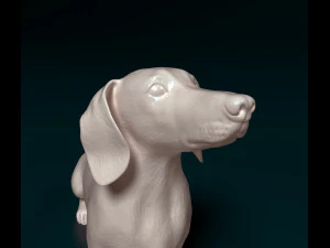 Dachshund 05 3D Print Model