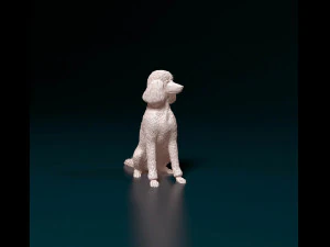プードル04 3Dプリントモデル