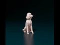 Poodle 04 3D प्रिंट मॉडल