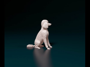 Poodle 04 Modelo de Impressão 3D