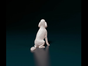 Poodle 04 Modelo de Impressão 3D